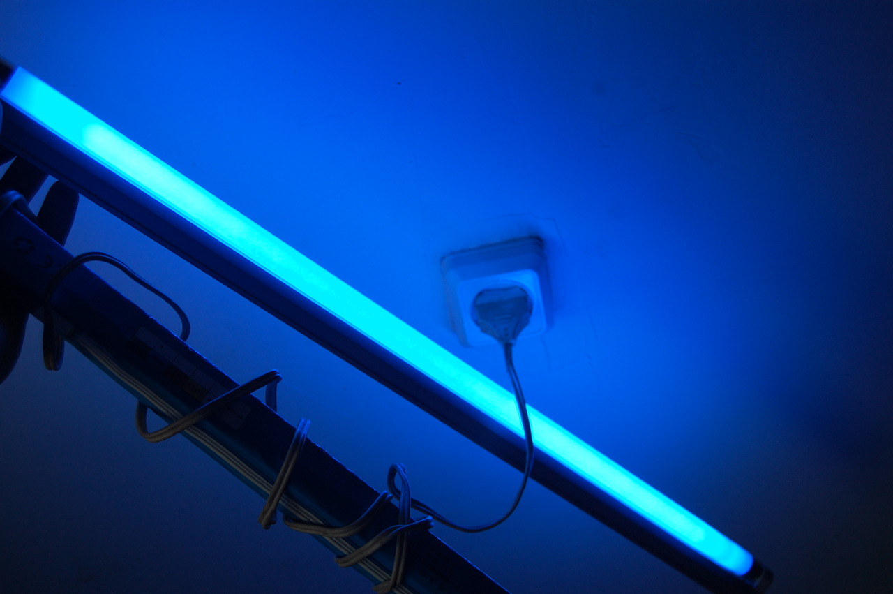 Прожектор синий. Флуоресцентная лампа t4 434мм. Эритемные люминесцентные лампы. Светильник ультрафиолетового света Black Light 400.