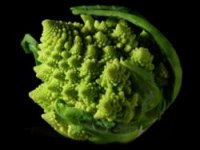 250px-Fractal_Broccoli