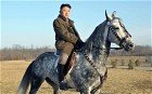 kim-jong-un-horse_2646985g