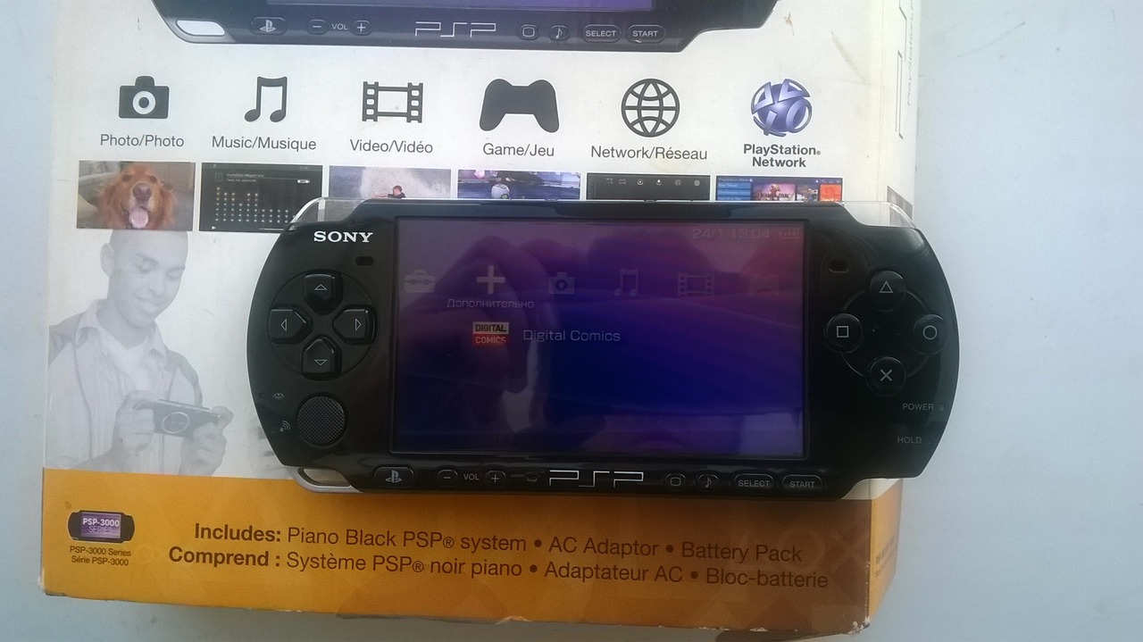 Psp 3001 — 2 500 руб. — Общение — Корзина — Price-Altai.ru