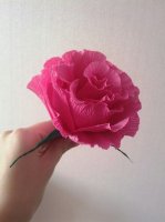 огромная розовая роза