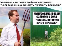 Медведев-политика-вилы-нечего-скрывать-кроме-домика-для-уточки-3383148