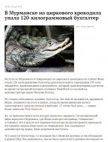 гифки-черепаха-живность-родео-2555123