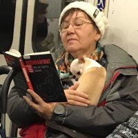 собака-метро-фото-книга-4178549