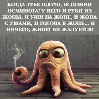 squid_1+copy