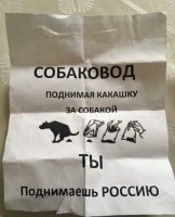 Россия-политота-объявление-собаки-4404632