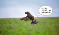 песочница-Ебля-носорогов-носороги-живность-3099263