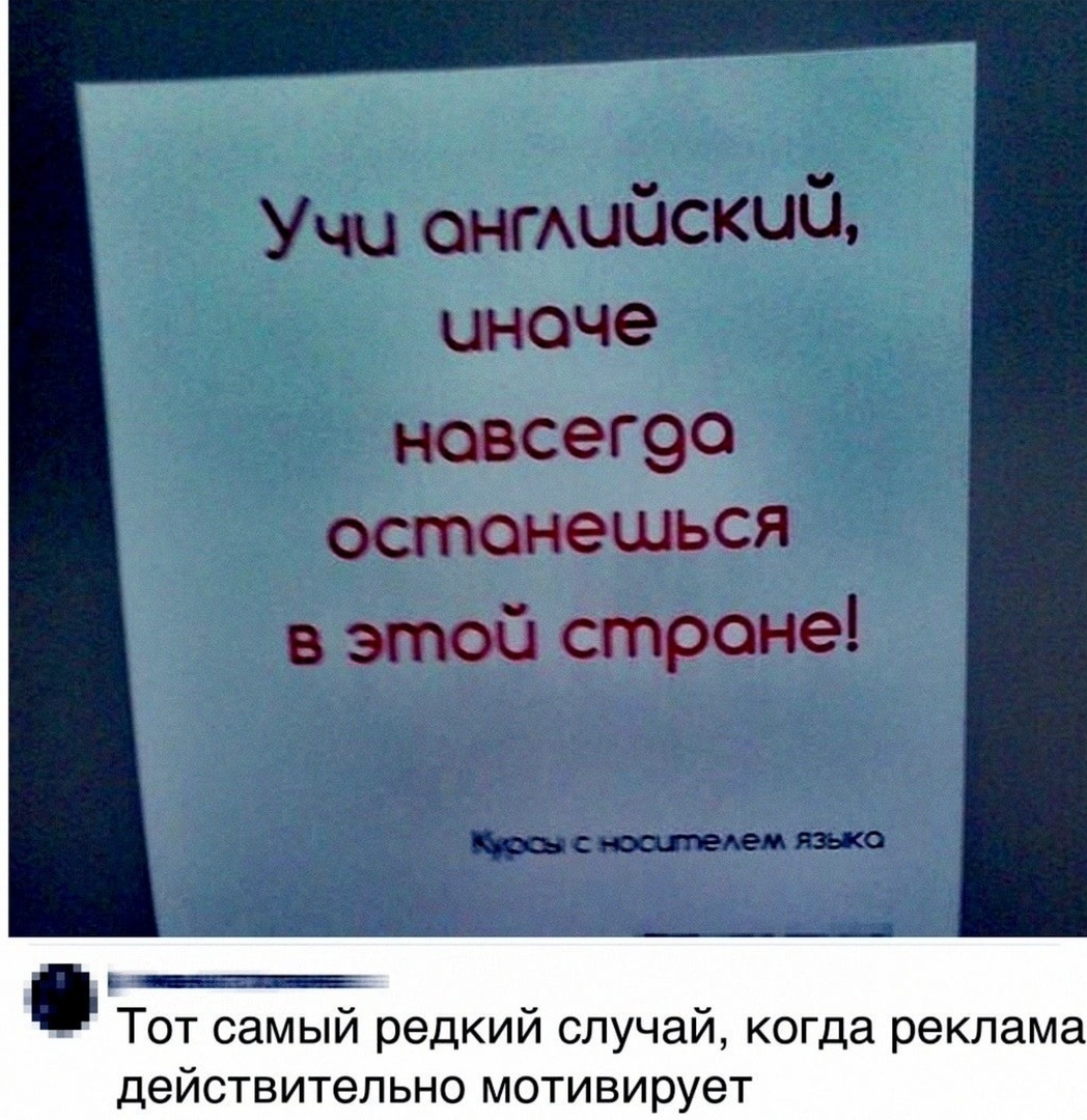 Редкий случай. Учи английский иначе навсегда. Учи английский иначе навсегда останешься в этой. Учи языки иначе навсегда останешься в этой стране. Учи английский язык иначе навсегда останешься в этой стране.