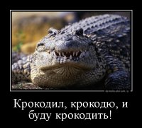 demotivatorium_ru_krokodil_krokodu_i_budu_krokodit_45503