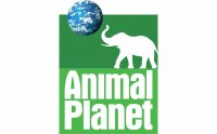 animal-planet-elephant-logo-mcoxwrq0w3a7x68p