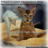 https://price-altai.ru/uploads/510000/6500/516678/thumb/p16jfrv32fha917lns8h1qd7cg7c.jpg
